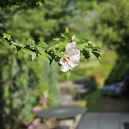 Дом отдыха Riverrun *